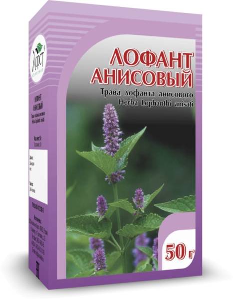 Лофант анисовый Хорст 50г фотография